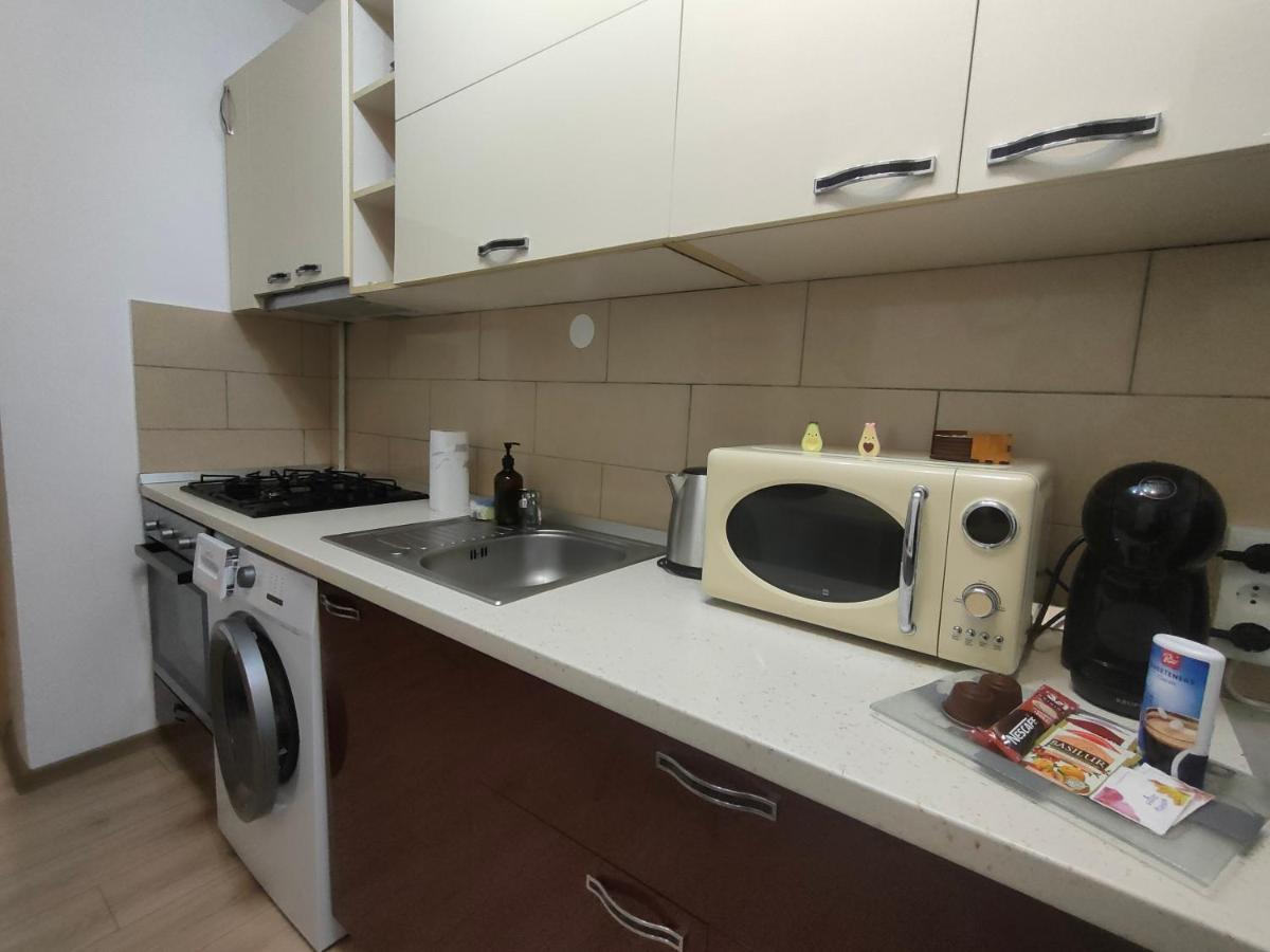 Vania Studio Apartment Sibiu Exterior foto